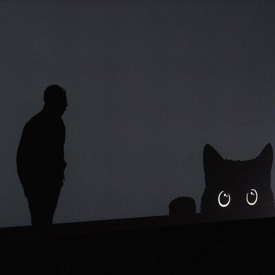 Dans le noir, tous les chats sont gris, d’autres photos devant suivre...
 - Photo Katarzyna Średnicka

